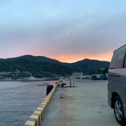 対馬でエギング