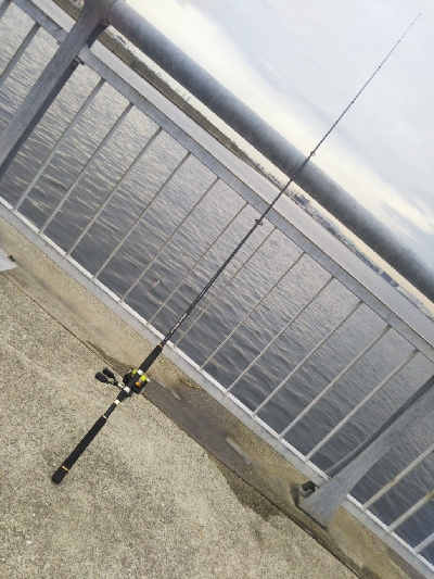 一応釣れましたが…