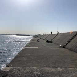 脂のりのりサゴシゲット！！