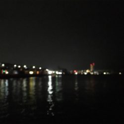 小メバルラッシュ