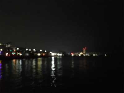 小メバルラッシュ