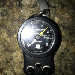 アオリ烏賊 1.8k