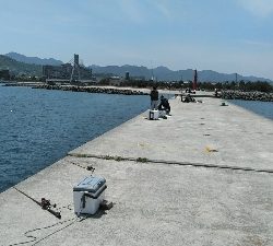 淡路島へコブダイ釣り