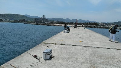淡路島へコブダイ釣り