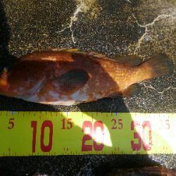 波強し、うねりあり