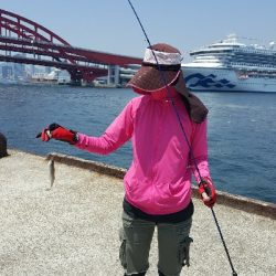 2019年キス調査~