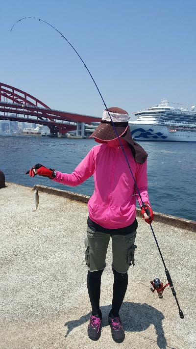 2019年キス調査~