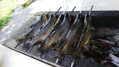 朽木渓流魚センター