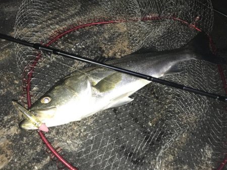 マイクロとバチが入り混じって