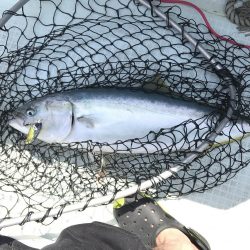 ジギング＆キャスティング