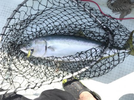 ジギング＆キャスティング