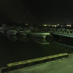 ボウズのがれに‼︎