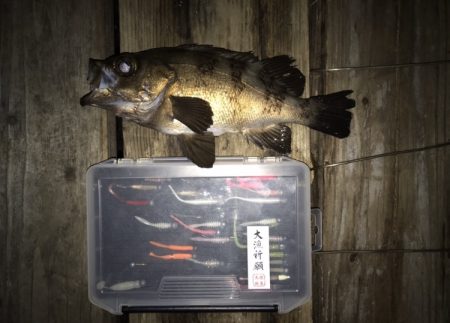 Light Game Fishing 2