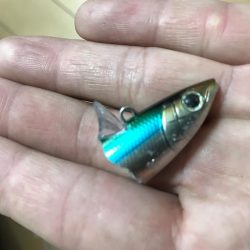 西宮ケイソンでカタクチパターン