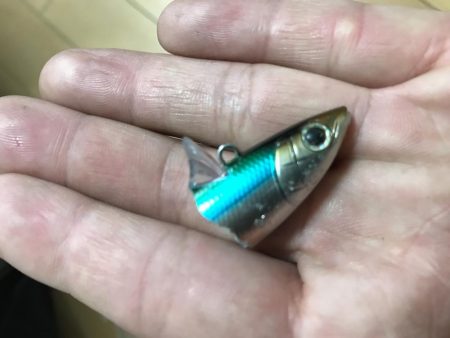 西宮ケイソンでカタクチパターン