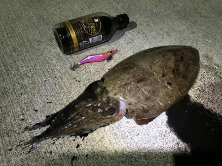 コウイカランガン