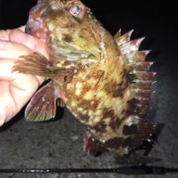 明石周辺ライトゲーム