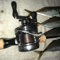 ベイトアジング