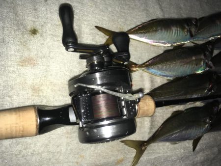 ベイトアジング