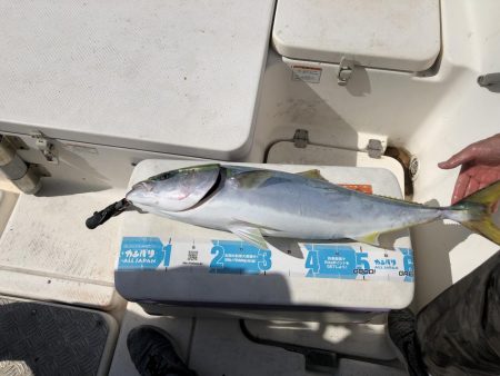 レンタルボートジギングリベンジだ！