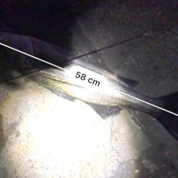 ショートバイト対策で