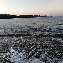 残念ボラでした!!