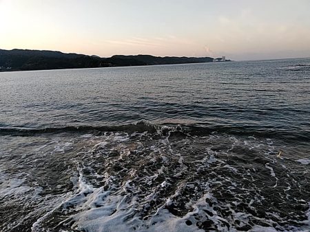 残念ボラでした!!