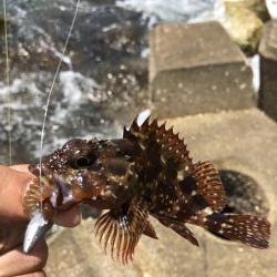 ゴールデンウィーク最終日