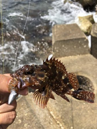 ゴールデンウィーク最終日