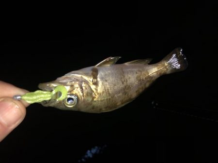 大人はどこ？？