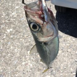 濁りの中から・・・