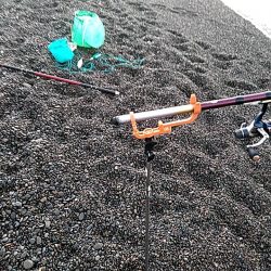 久しぶりのアオリイカでした!!