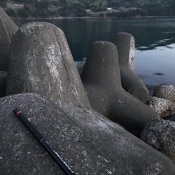 仕事終わりの釣り ２