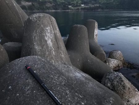 仕事終わりの釣り ２