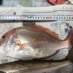 絶好の釣り日和