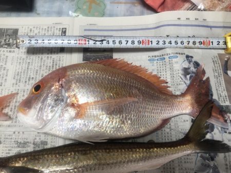 絶好の釣り日和