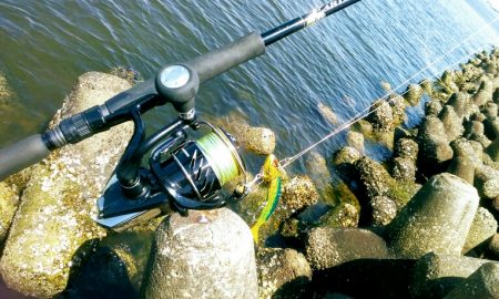 シーバス狙い・・・のはずが