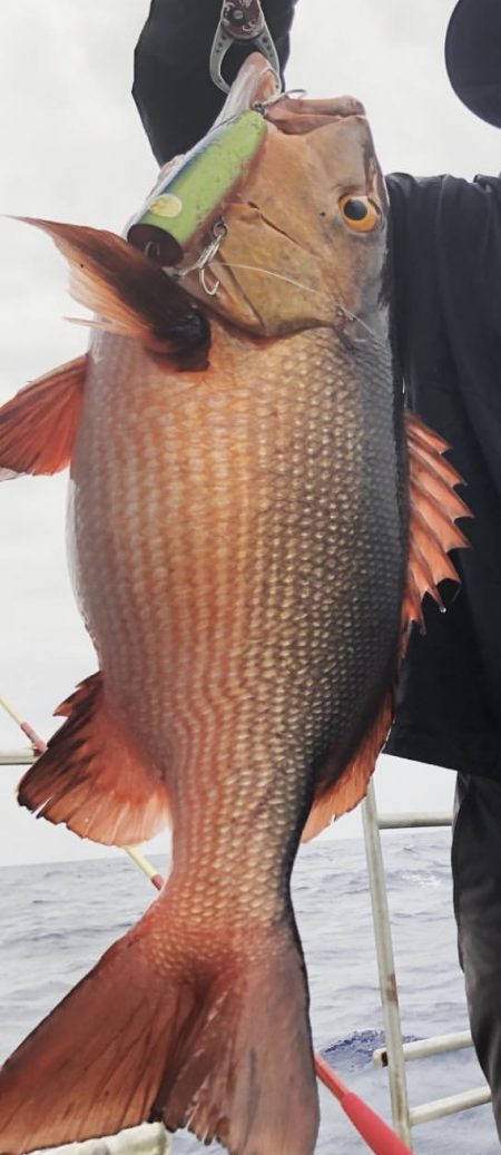 チャーター船でGT！