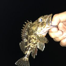 今日もガッシー(^^)