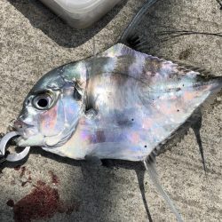 ショアジギング