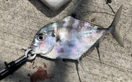 ショアジギング