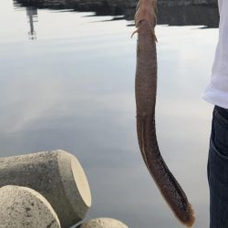 家族フィッシング