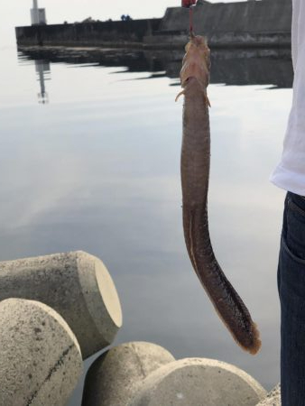 家族フィッシング