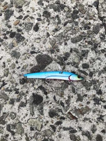 武庫川一文字 サゴシ・大サバ