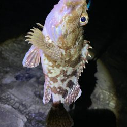 陸っぱりからの44㎝!