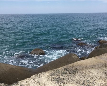 春のランカーシーバス