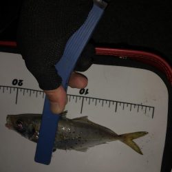 フロートアジング