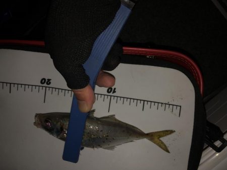 フロートアジング