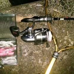 メバル狙い・・・のはずが