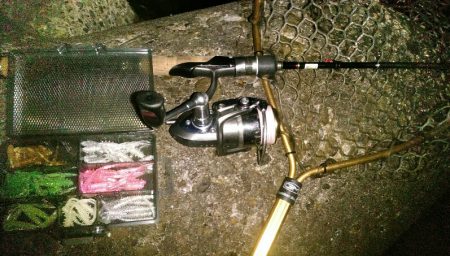 メバル狙い・・・のはずが